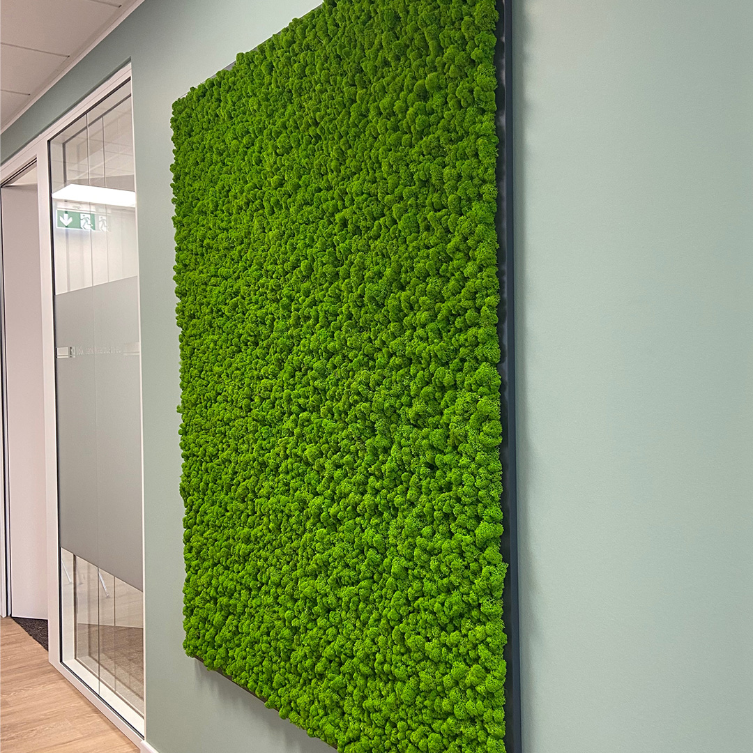 Volksbank Büderich Moosbild