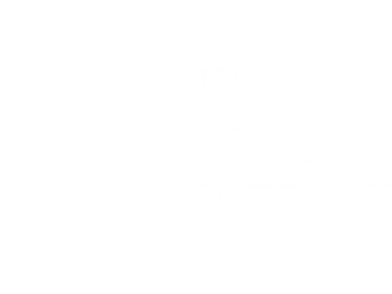 WFG Logo